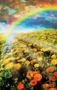 immagine natura con arcobaleno 